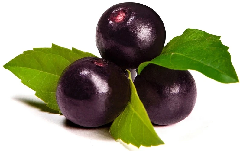 Health benefits of acai berry